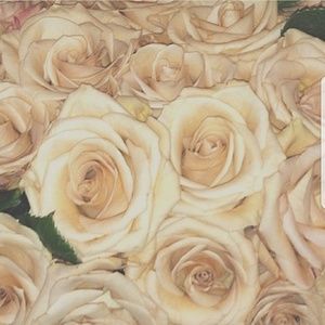 Meet your Posher, Socorro